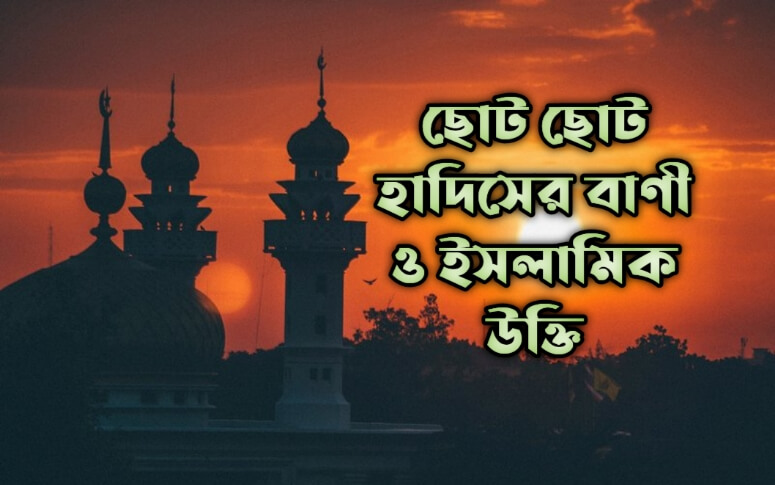 ছোট ছোট হাদিসের বাণী