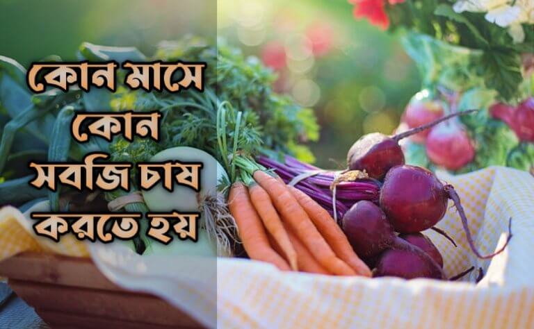 কোন মাসে কোন সবজি চাষ করতে হয়