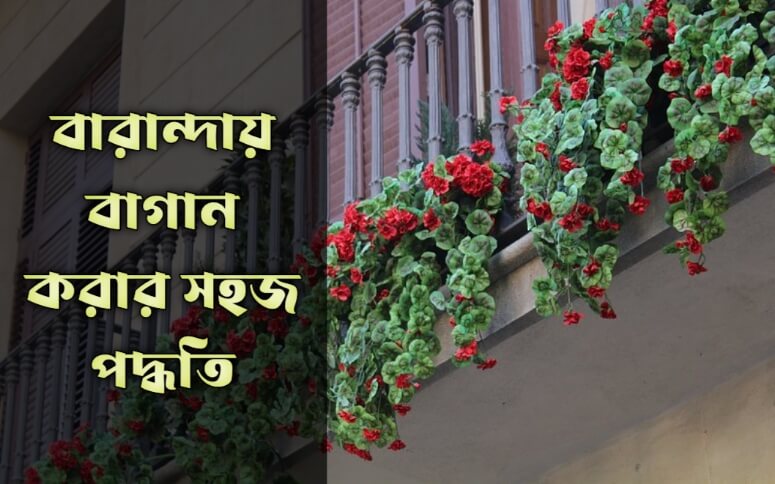 বারান্দায় বাগান করার সহজ পদ্ধতি